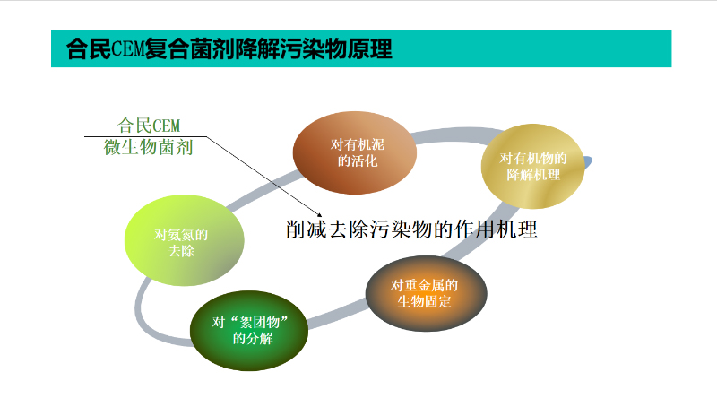 CEM水體原位治理技術(shù)-3-1.png